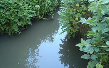 The Great Ouse at Brackley in Northamptonshire