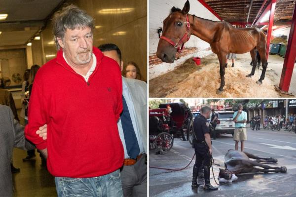 A veterinary exam found that Ryder the horse was malnourished and older than driver Ian McKeever claimed.