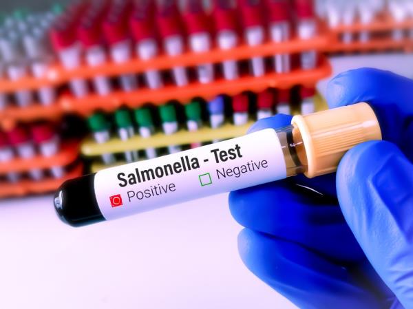 1.3 million people are infected by salmo<em></em>nella in America each year