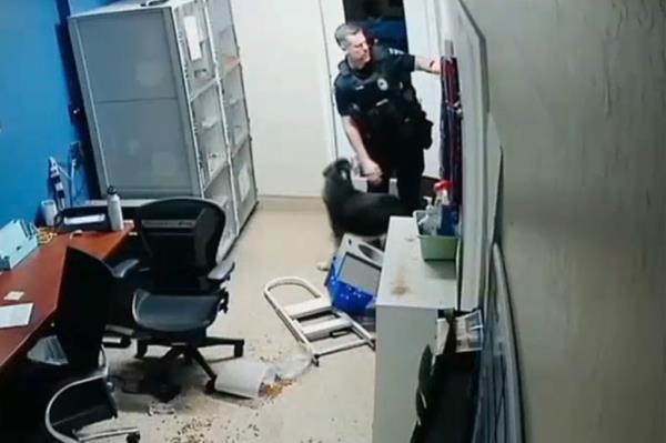 Footage shows the police officer arriving at the shelter, as he notices King by the doorway.