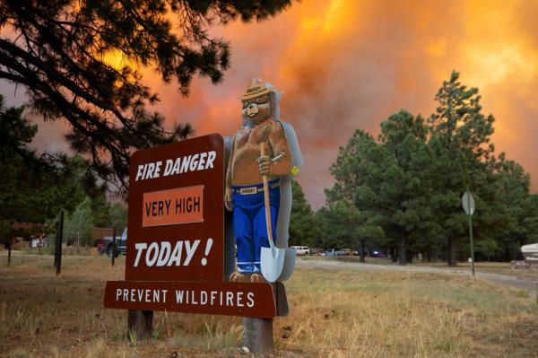 Smoke rising above the tree line as the wildfire progresses from the from the Mescalero Apache Indian Reservation to the Lincoln Natio<em></em>nal Forest.