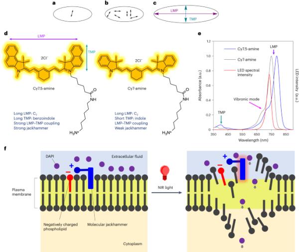 Molecular jackhammers eradicate cancer cells by vibronic-driven action