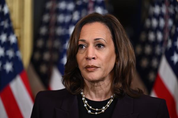 A picture of Kamala Harris.