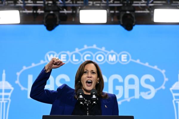 Several celebrities have come out in support of Harris ahead of the election, like Beyoncé, who spoke ahead of and introduced Harris at a rally in Houston, Texas.