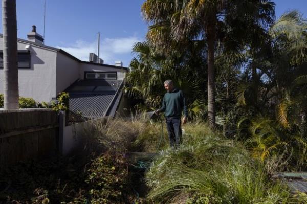 Sacha Coles on his rooftop garden in Redfern, which has just won the best garden in the 2024 Houses Awards.