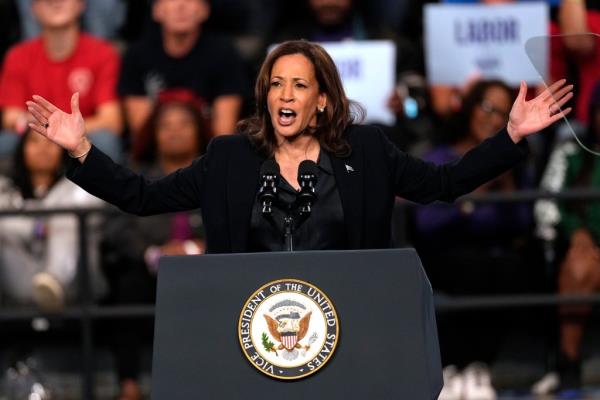 The professor said that men not willing to vote for Kamala Harris  