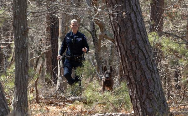 The NYPD canine unit along with the Suffolk County and State Police search a wooded area.