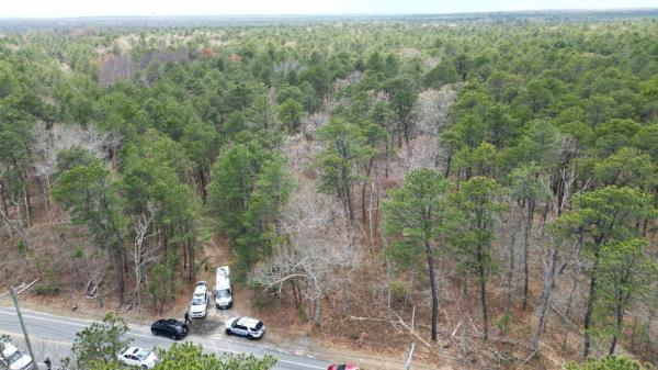 The NYPD canine unit along with the Suffolk County and State Police search a wooded area.