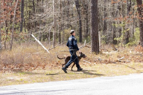 The NYPD canine unit along with the Suffolk County and State Police search a wooded area.