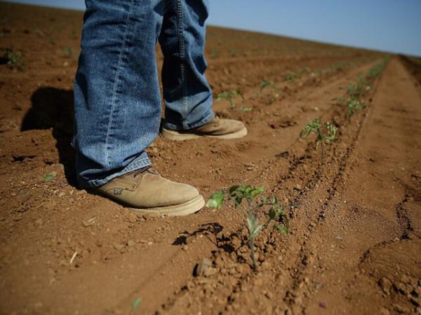 Farmers, fisherman have the highest suicide rates per profession