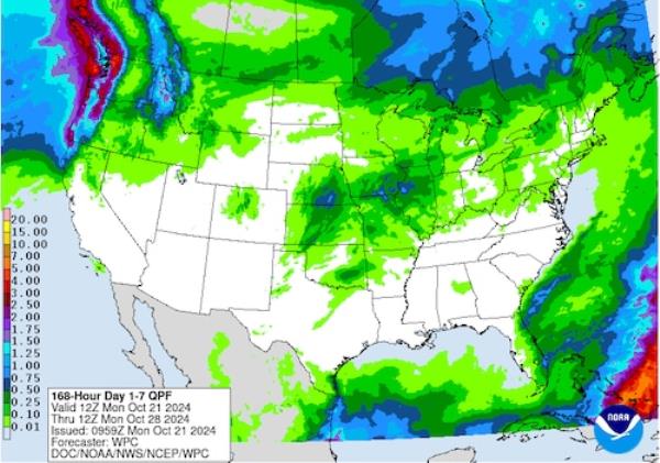 7 day qpf