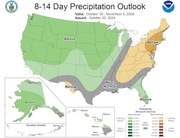 8-14 day precip outlook