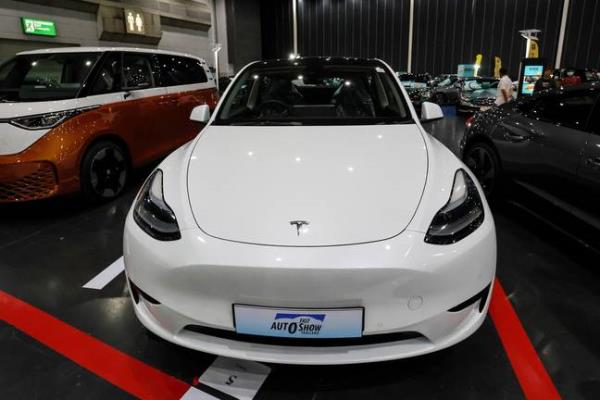 Tesla owner Shreyansh Jain's excitement was short lived after his brand new car started havin<em></em>g issues just two days after being purchased. Credit: Valeria Mongelli/Anadolu Agency via Getty Images