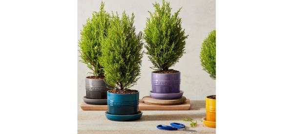 Le Creuset Herb Planters on table